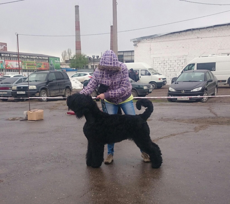 Радуга 1,7 