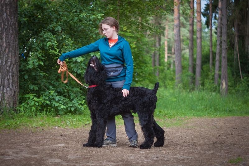 1 год 