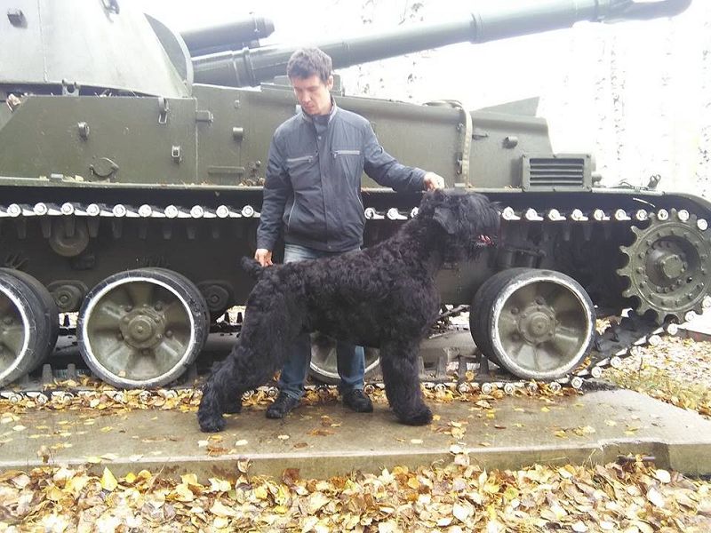 РЧТ 2 года  