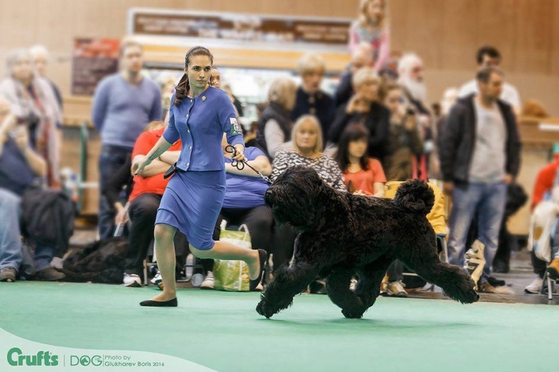 РЧТ Крафт 2016  